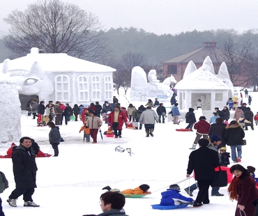 Iwate Snow Festival Iwate Snow Festival