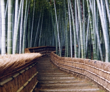 Arashiyama Arashiyama