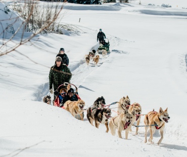 Dogsledding through beautiful winter trails Dogsledding through beautiful winter trails