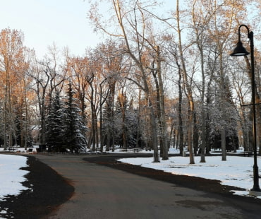 snowy pathways in Calgary Prince island park snowy pathways in Calgary Prince island park
