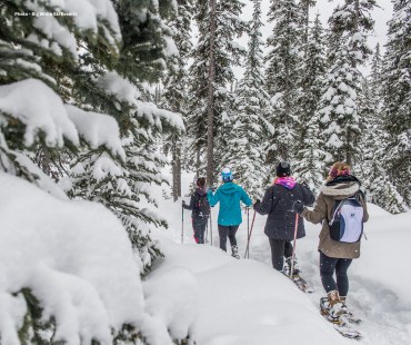 a group of people hiking through big whites snowy trails in snowshoes a group of people hiking through big whites snowy trails in snowshoes
