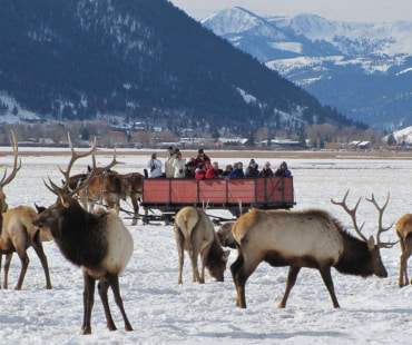 Sleigh Rides at Jackson Hole Sleigh Rides at Jackson Hole