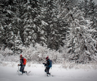 Snowshoeing at Jackson Hole Snowshoeing at Jackson Hole
