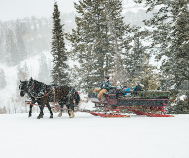 Park City Sleigh Rides Park City Sleigh Rides