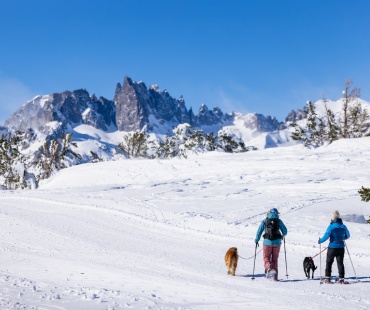 people walking dogs and snowshoeing with beautiful views people walking dogs and snowshoeing with beautiful views