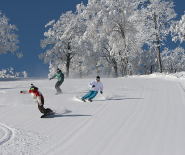 Nozawa Onsen Ski Resort Nozawa Onsen Ski Resort