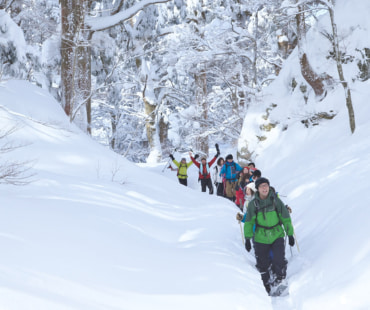 Snow Shoe Trekking in Zao Snow Shoe Trekking in Zao