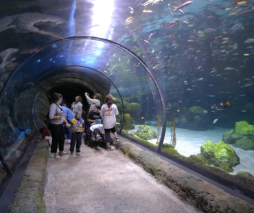 Undercover Walkway at Denver Aquarium Undercover Walkway at Denver Aquarium