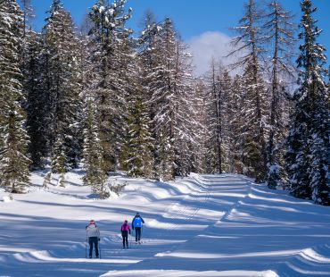 People enjoying nordic trails on crosscountry skis People enjoying nordic trails on crosscountry skis