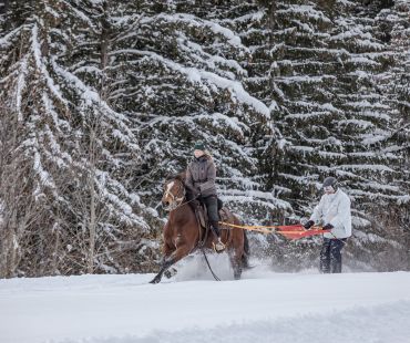 Skier being pulled through the snow by horse Skier being pulled through the snow by horse