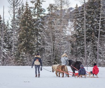Children on sleds being pulled by ponies through the snow Children on sleds being pulled by ponies through the snow