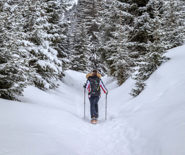 Person enjoying nature while using snowshoes to hike through winter wonderland Person enjoying nature while using snowshoes to hike through winter wonderland