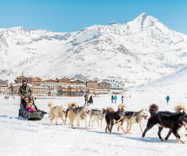 Dogs pulling a sled through the snow Dogs pulling a sled through the snow
