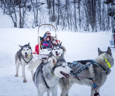 huskies pulling sled through snow huskies pulling sled through snow