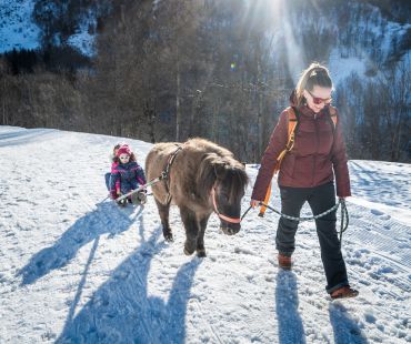 Child being pulled on sled by pony Child being pulled on sled by pony