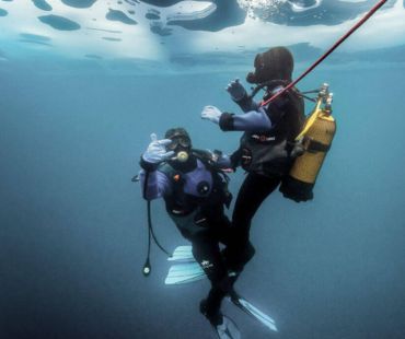 People scuba diving into the frozen waters People scuba diving into the frozen waters