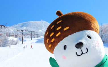 Shiga Kogen Ski Resort 