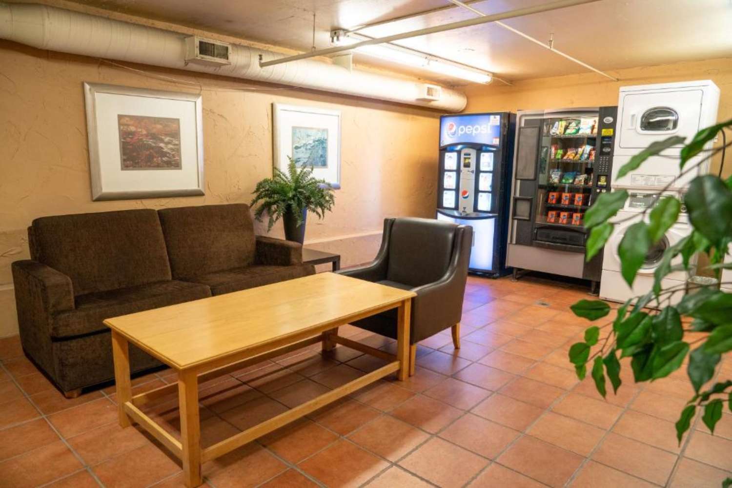 Vending Machines and Laundry Facilities