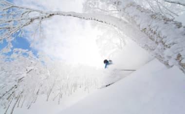 Powder SKiing in Rusutsu